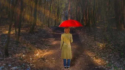 Rubrik_Naturschutz_-_pixabay_forest-3688175__340